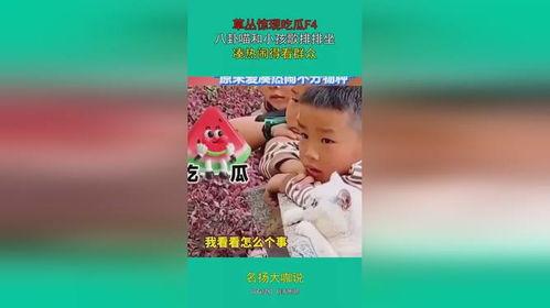娱乐吃瓜宝宝,揭秘宝宝吃瓜背后的故事