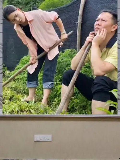 娱乐八卦一定是吃瓜群众的吗,揭秘吃瓜群众的狂欢盛宴 第2张 娱乐八卦一定是吃瓜群众的吗,揭秘吃瓜群众的狂欢盛宴 第2张