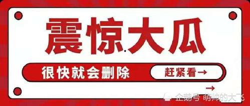 吃瓜娱乐号大全,带你畅游娱乐圈  第3张