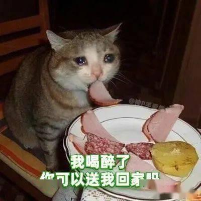 吃瓜娱乐绿茶猫,揭秘娱乐圈背后的秘密  第2张