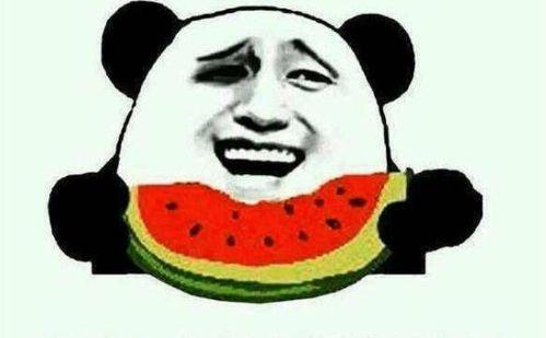 111娱乐吃瓜,揭秘娱乐圈的“吃瓜”盛宴  第3张