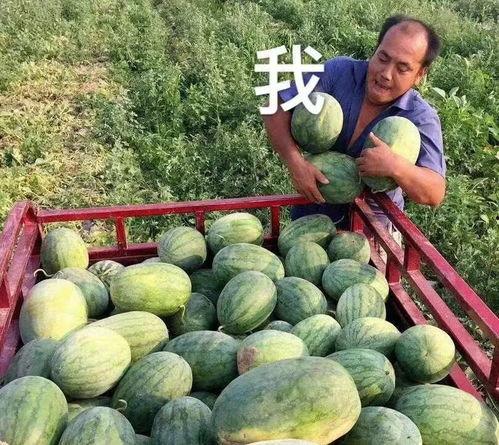 娱乐吃瓜最新瓜,神秘事件引发热议，真相即将揭晓！  第2张