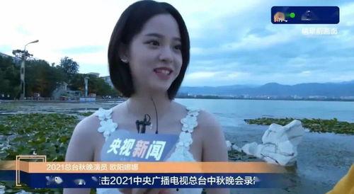 娱乐吃瓜酱流量,揭秘流量背后的秘密与真相  第2张
