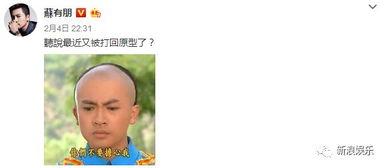 闲来娱乐吃瓜,吃瓜群众揭秘娱乐圈幕后故事  第3张