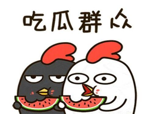 伙伴娱乐吃瓜,揭秘娱乐圈的“吃瓜”风云  第2张