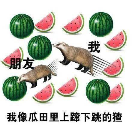 伙伴娱乐吃瓜,揭秘娱乐圈的“吃瓜”风云  第3张