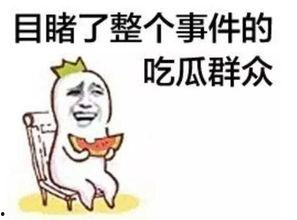 娱乐吃瓜酱工资,揭秘高薪背后的辛酸与荣耀