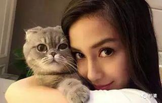 娱乐吃瓜猫咪视频,猫咪吃瓜视频大盘点  第2张