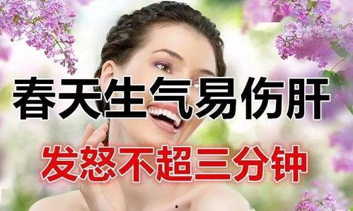 吃瓜全家都听心声的小说娱乐圈,娱乐圈幕后风云录  第2张 吃瓜全家都听心声的小说娱乐圈,娱乐圈幕后风云录  第2张