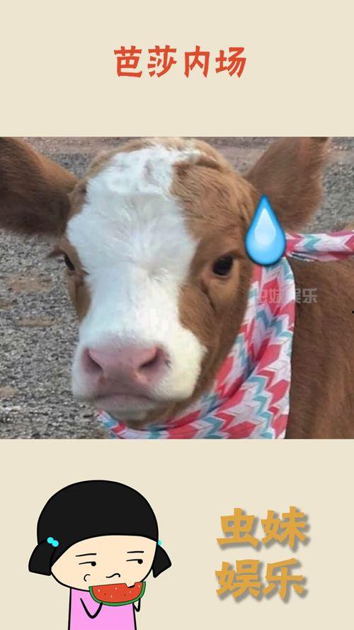 娱乐吃瓜酱鸭鸭,揭秘娱乐圈那些鲜为人知的幕后故事  第2张 娱乐吃瓜酱鸭鸭,揭秘娱乐圈那些鲜为人知的幕后故事  第2张