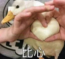 娱乐吃瓜酱鸭鸭,揭秘娱乐圈那些鲜为人知的幕后故事  第3张 娱乐吃瓜酱鸭鸭,揭秘娱乐圈那些鲜为人知的幕后故事  第3张