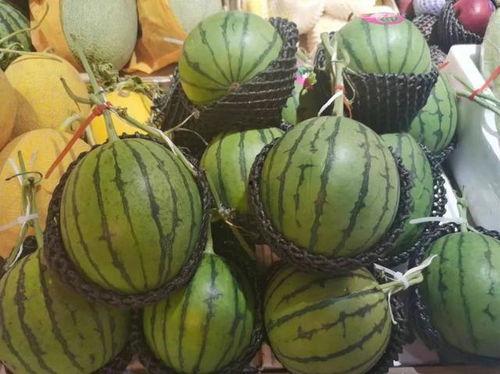 娱乐吃瓜糖,揭秘明星们的甜蜜瞬间  第2张