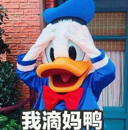 娱乐吃瓜君鸭  第2张 娱乐吃瓜君鸭  第2张