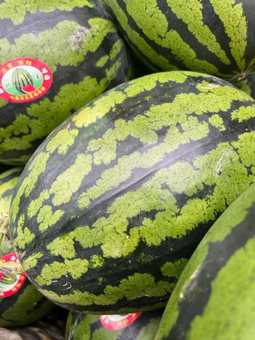 娱乐吃瓜钱,吃瓜群众如何用“钱”解锁明星幕后故事  第3张