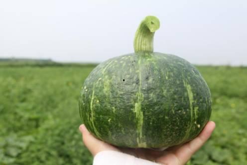 栗子娱乐吃瓜,揭秘栗子娱乐吃瓜背后的真相  第3张