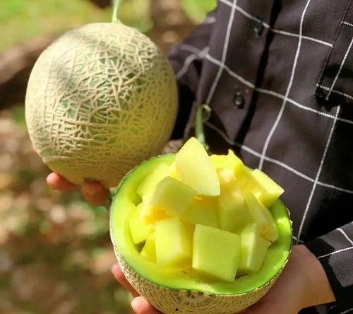 娱乐吃瓜料,明星们的幕后故事与八卦风云  第2张