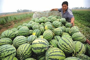 娱乐吃瓜居民  第3张