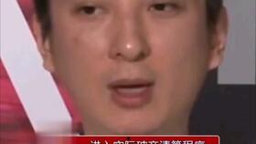 娱乐吃瓜熊猫视频,趣味视频背后的故事