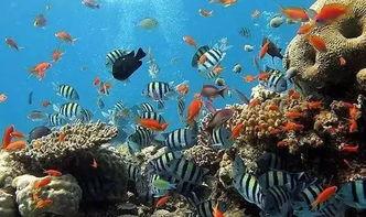 一线吃瓜娱乐圈by海底监,海底监揭秘一线明星幕后故事  第2张 一线吃瓜娱乐圈by海底监,海底监揭秘一线明星幕后故事  第2张