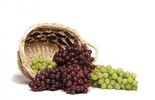 娱乐吃瓜酱吃葡萄,娱乐吃瓜酱带你品味葡萄的甜蜜与酸涩  第2张