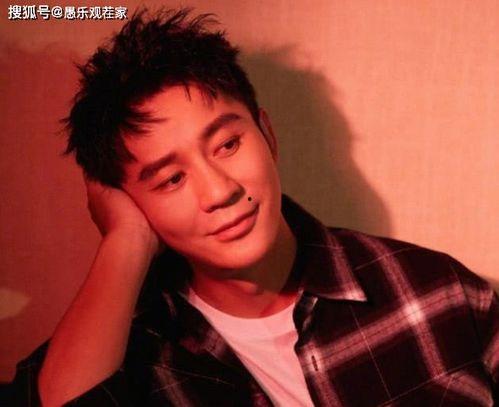 娱乐吃瓜鹅李晨,娱乐吃瓜界的“鹅”中翘楚  第2张