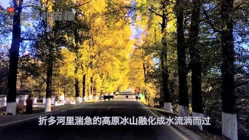 娱乐吃瓜君地址  第1张