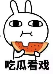 吃瓜群众娱乐巴,揭秘娱乐圈幕后故事  第2张