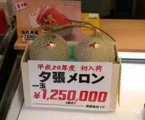 吃瓜娱乐大荟萃,盘点娱乐圈最新热点事件  第2张