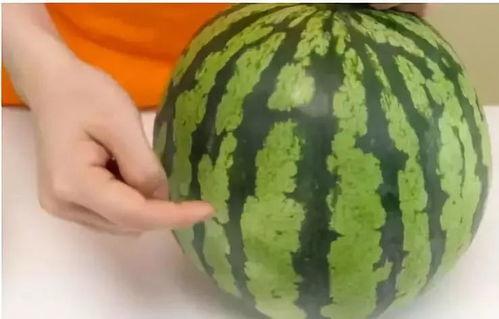 娱乐吃瓜和导演吃瓜区别,揭秘幕后真相的两种视角 第2张 娱乐吃瓜和导演吃瓜区别,揭秘幕后真相的两种视角 第2张