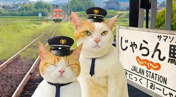 小喵娱乐吃瓜,揭秘娱乐圈最新吃瓜事件,带你领略明星幕后故事 第3张 小喵娱乐吃瓜,揭秘娱乐圈最新吃瓜事件,带你领略明星幕后故事 第3张