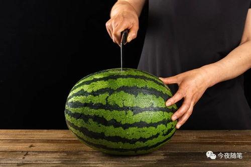 娱乐吃瓜方式,明星们的“吃瓜”日常 第3张 娱乐吃瓜方式,明星们的“吃瓜”日常 第3张