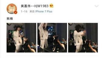 娱乐圈吃瓜爆料二次元,二次元吃瓜爆料大揭秘  第1张