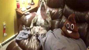 吃瓜侠看娱乐,吃瓜侠带你领略娱乐圈风云变幻 第3张 吃瓜侠看娱乐,吃瓜侠带你领略娱乐圈风云变幻 第3张